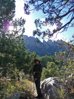 Walter Cooke Pine Tree Trail view southwest