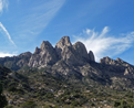 Rabbit Ears Organ Mt NM