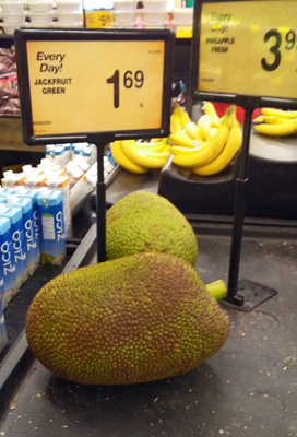 Green Jackfruit