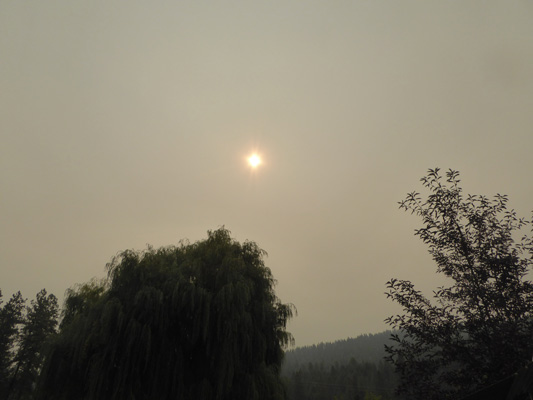 Sun through smoke