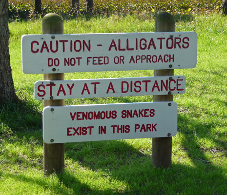 Alligator warning sign