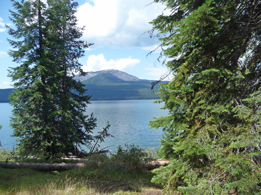 Campsite view Diamond Lake Campground OR