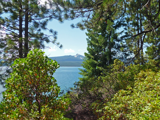 Crescent Lake OR Cow Horn MT