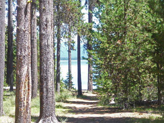 Campsite view Rock Creek Campground Crane Prairie Reservoir