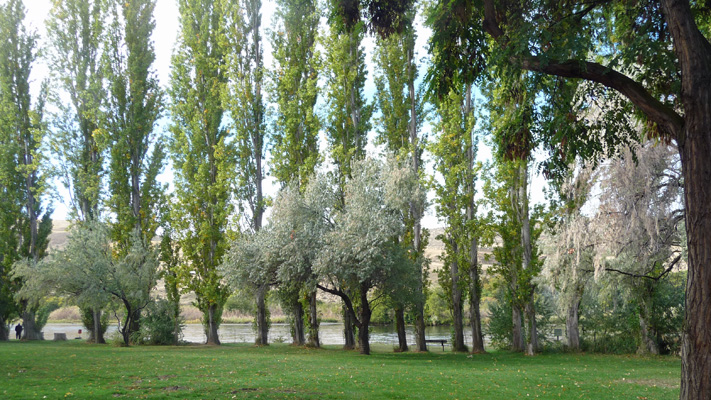 Deschutes River State Recreation Area