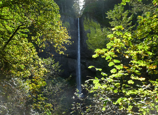 Latourell Falls Columbia Gorge OR