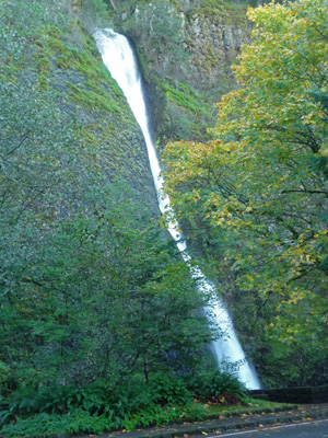 Horsetail Fall Columbia Gorge OR