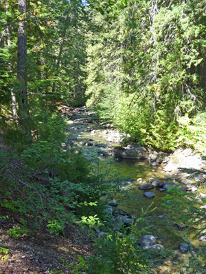 Creek on north end of Kachess Campground