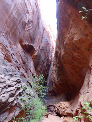 Burr Trail slot canyon