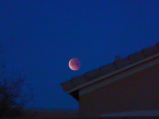 Super Blue Blood Moon