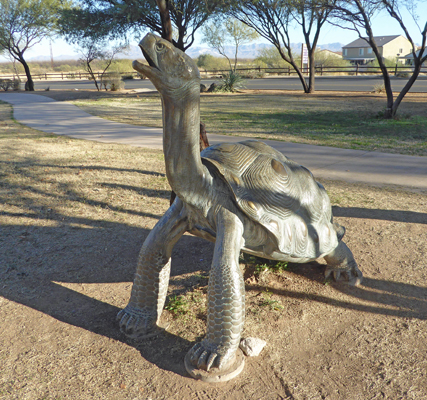 Desert tortoise statue