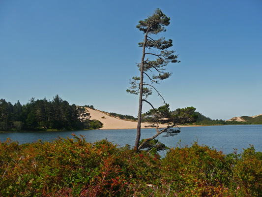 Honeyman State Park Day Use Area OR