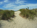 Sand Dune Path Florence OR