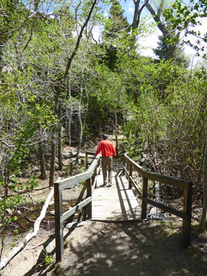 Bridge across Mosca Creek