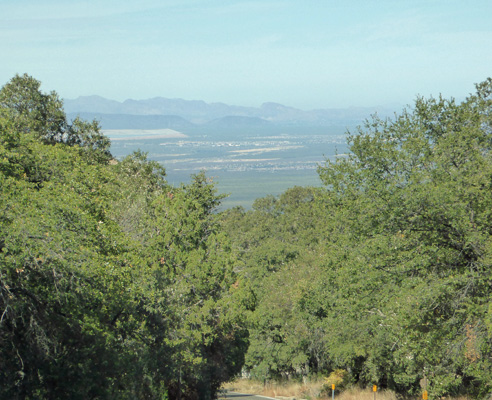View across valley from Madera Canyon
