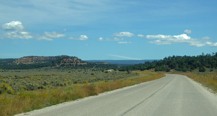 NM Hwy 53