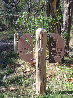 Old Baldy trail sign Garner SP