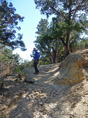 Old Baldy trail Garner SP