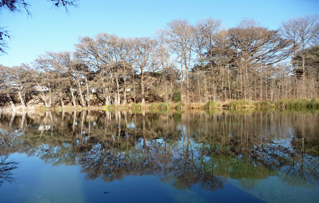 Rio Frio boathouse area Garner SP