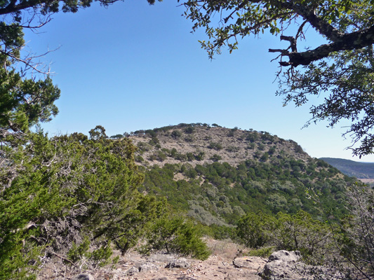 Old Baldy from the Foshee Trail