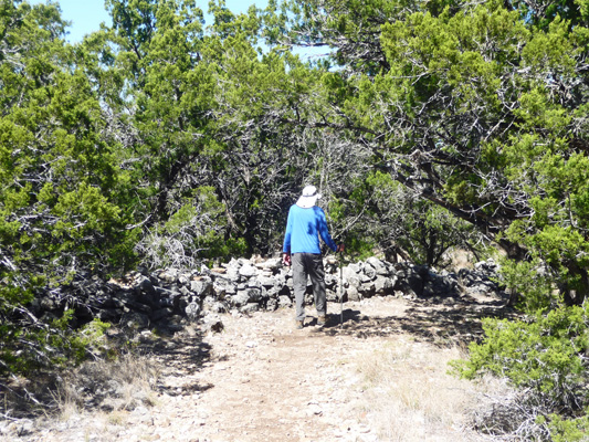 Old Stone Fence Foshee Trail