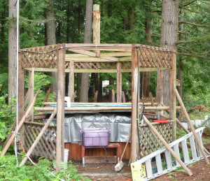 Gazebo with only the rotten kingpost left