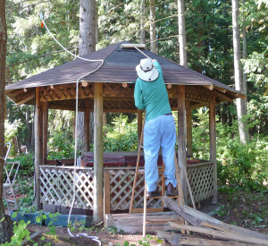 Walter Cooke sweeping needles off of gazebo roof