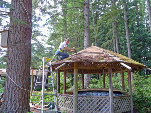 Sara Schurr taking shingles off roof of gazebo