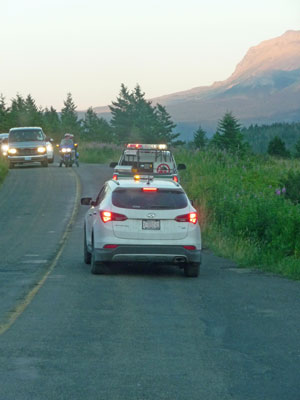 Rangers chasing bear with vehicles watching