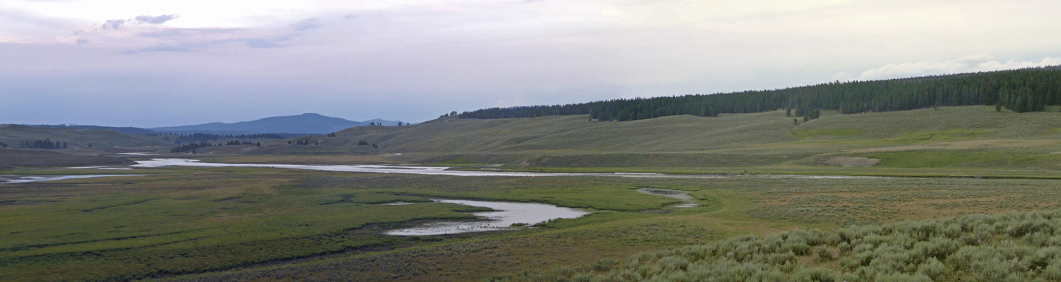 Hayden Valley Panorama sunset Yellowstone