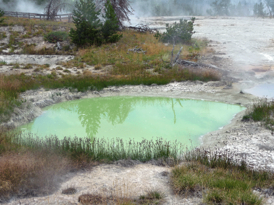 West Thumb hot spring Yellowstone