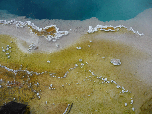 Yellow algae in hot spring Yellowstone