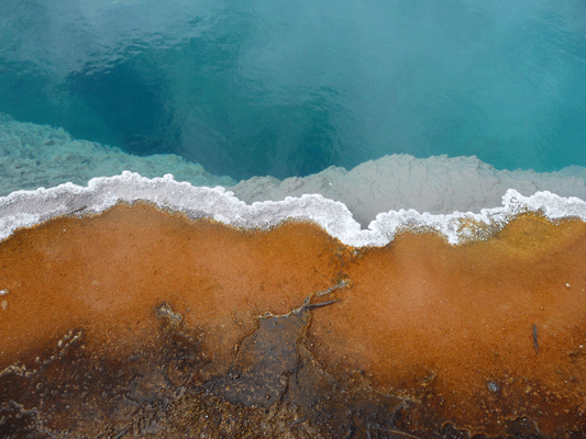 Orange algae hot spring Yellowstone