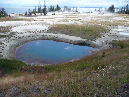 Ephedra Spring West Thumb Yellowstone