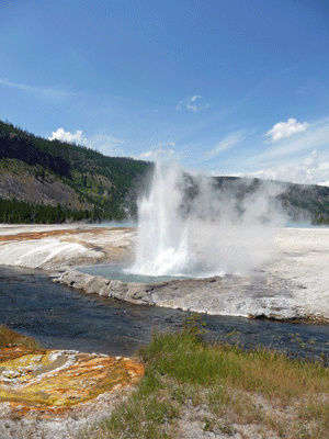 Cliff Geyser Black Sand Basin Yellowstone