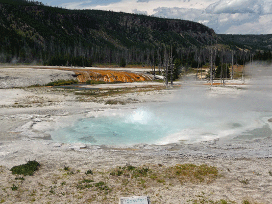 Spouter Geyser Black Sand Basin Yellowstone