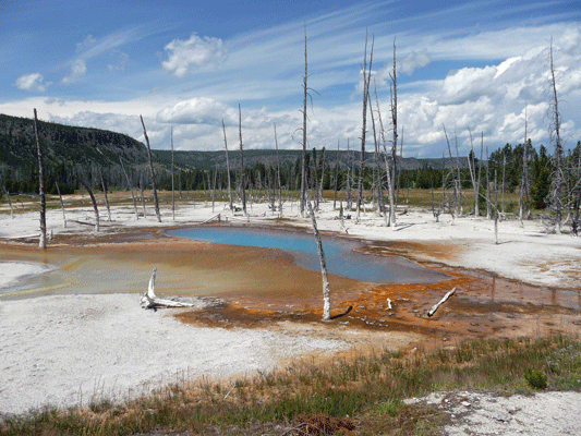 Opalescent pool Black Sand Basin Yellowstone