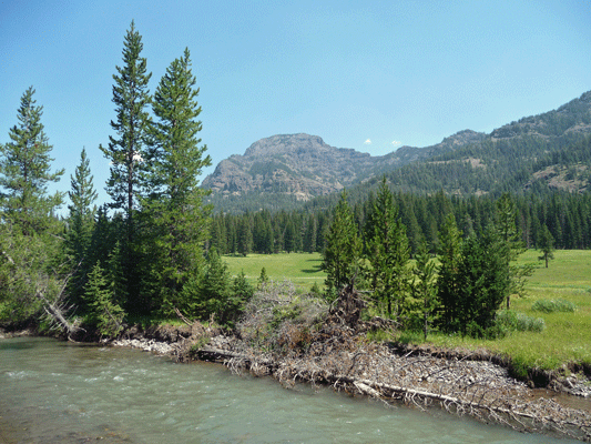 Soda Butte Picnic area Yellowstone