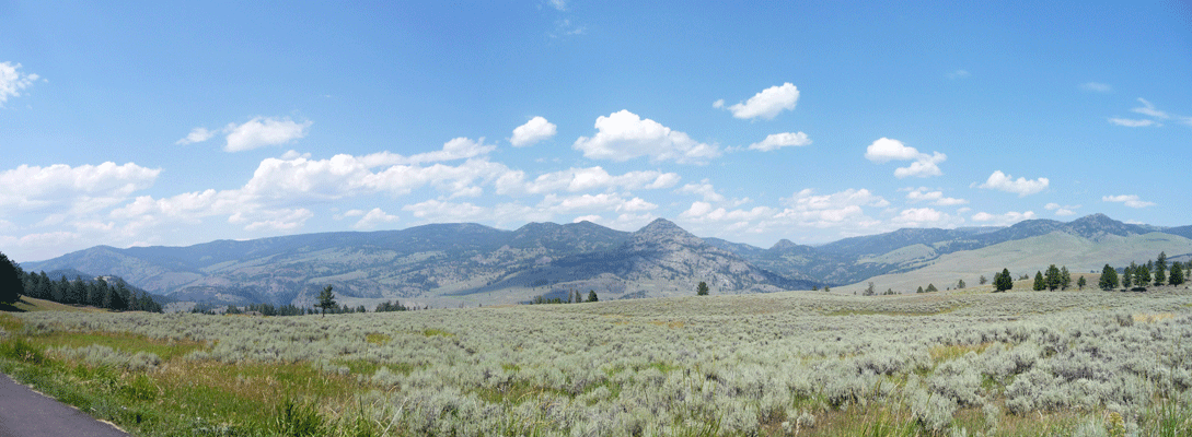 Panorama area west of Tower in Yellowstone