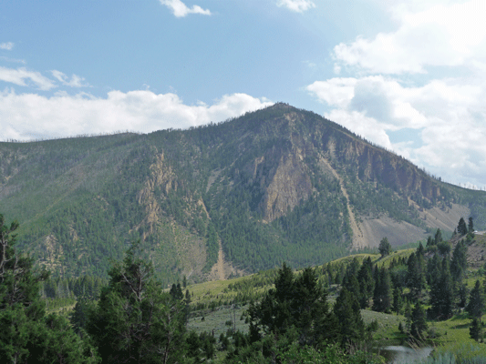 South of Mammoth Hots Springs Yellowstone