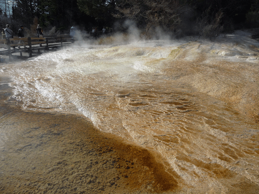 Upper Terrace of Mammoth Hot Springs