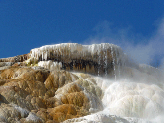 Pallete Springs