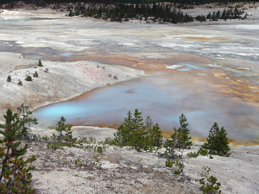 Porcelain Springs