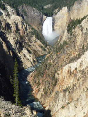 Lower Yellowstone Falls