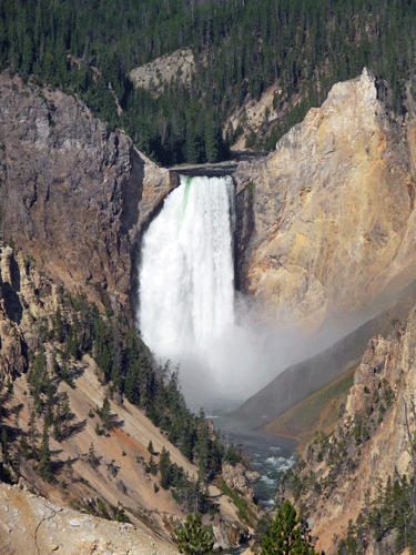 Lower Yellowstone Falls