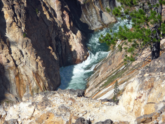 Rapids from Inspiration Point