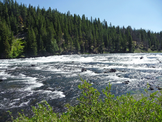 LeHardy's Rapids