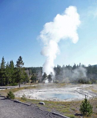 Across from Riverside Geyser