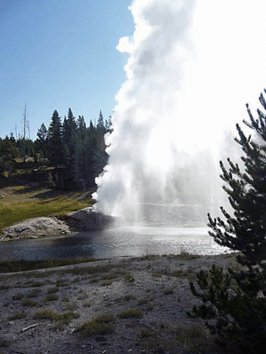 Riverside Geyser