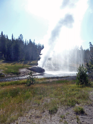 Riverside Geyser